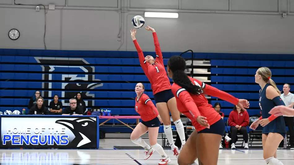 Women's Volleyball: Red Devils Start season strong with 3-0 win at Clark