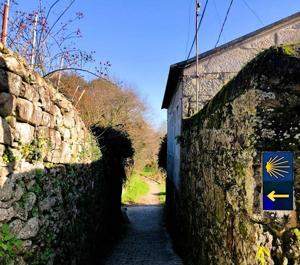 Cavens to discuss Camino de Santiago trip at Longview church