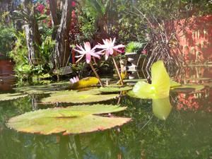 Kalama gallery to feature Woodland photographer