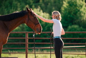 The Bright Side: Retired racehorse gets 2nd chance in Kelso