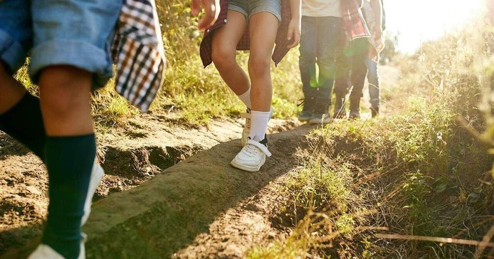 Join Mount St. Helens Club for hikes through August