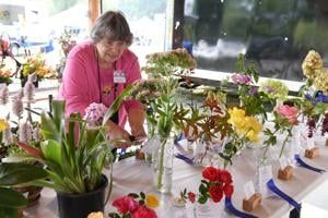 Public invited to enter Kelso Garden Club flower show