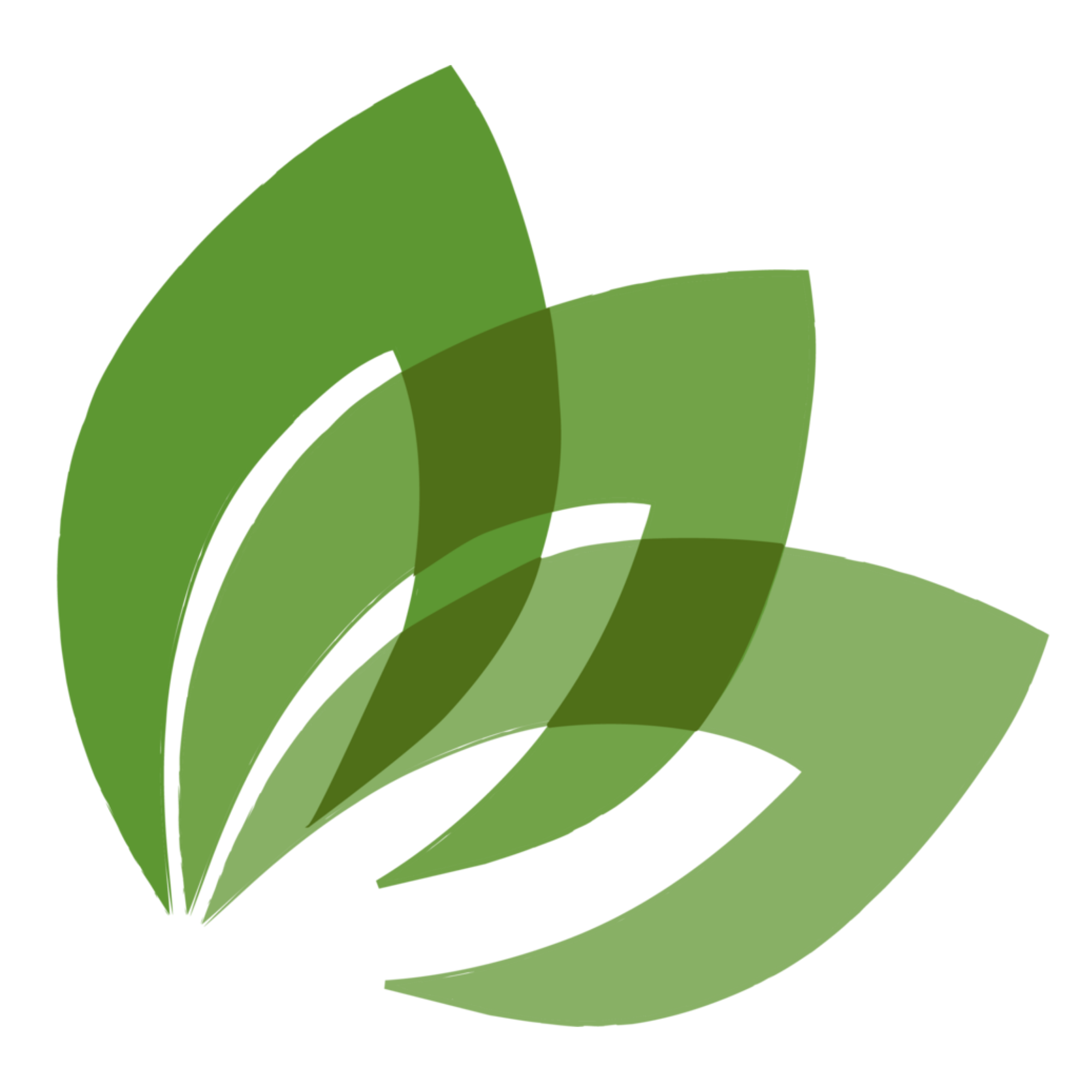 Durable Growth and Ethics: Equality of Opportunity, Transparency, and Community Benefits