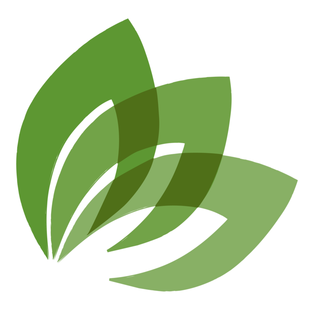 Durable Growth and Ethics: Equality of Opportunity, Transparency, and Community Benefits