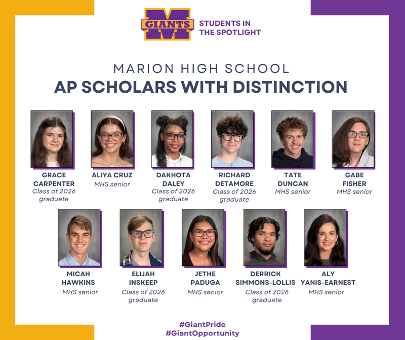 MHS students, grads earn AP Scholar honors and more